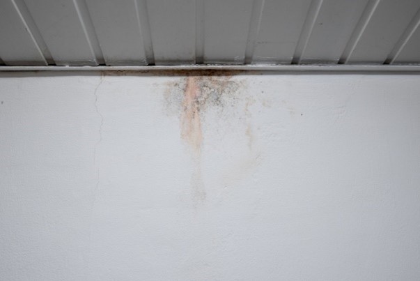 Mold on a basement wall in Milwaukee