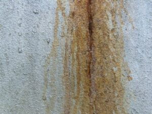 Wall with mold from moisture in Milwaukee, WI.