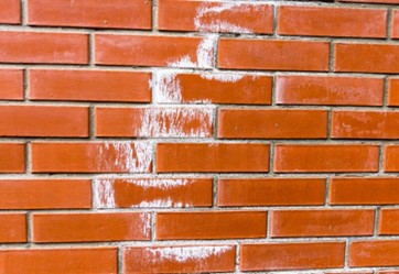 White color efflorescence on a new red brick wall in Milwaukee, WI.